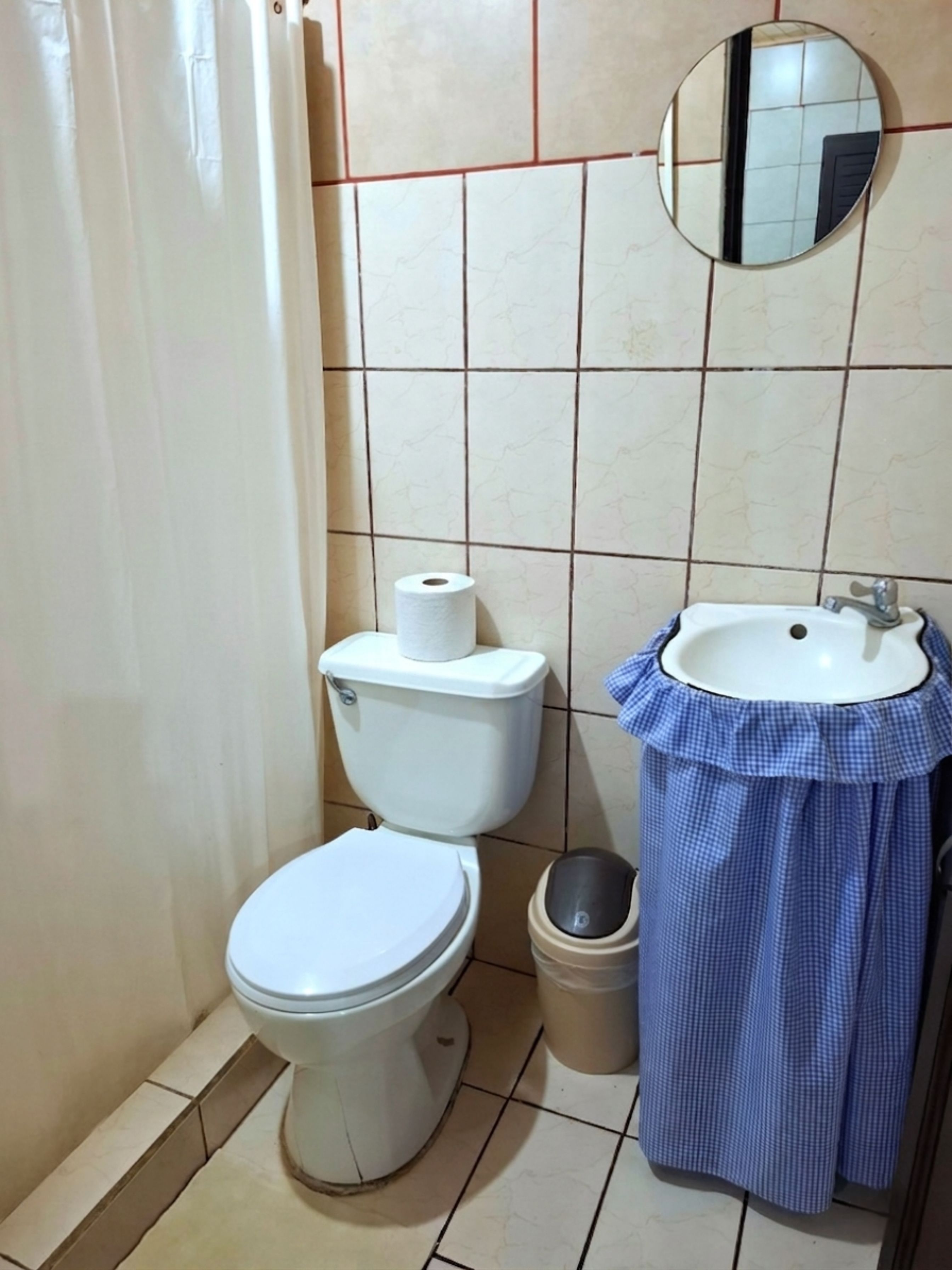 A bathroom with a toilet, a sink, a mirror, and a roll of toilet paper.