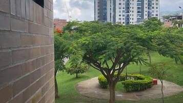 A view from a window overlooking a well-maintained lawn with a large tree, a building in the background, and a clear sky.