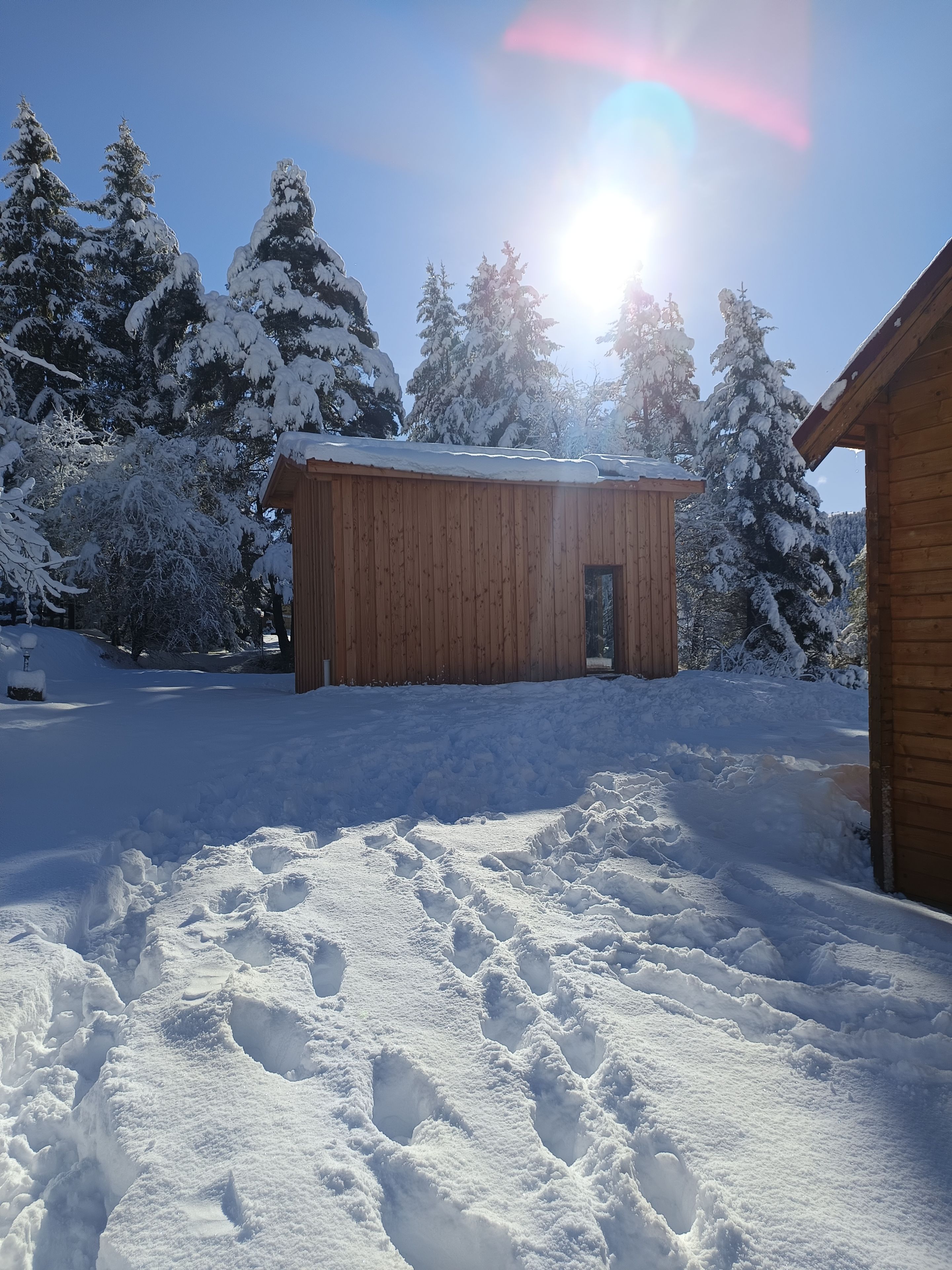 Een houten hut met een met sneeuw bedekte dak, omringd door sneeuwzware bomen, onder een heldere lucht.