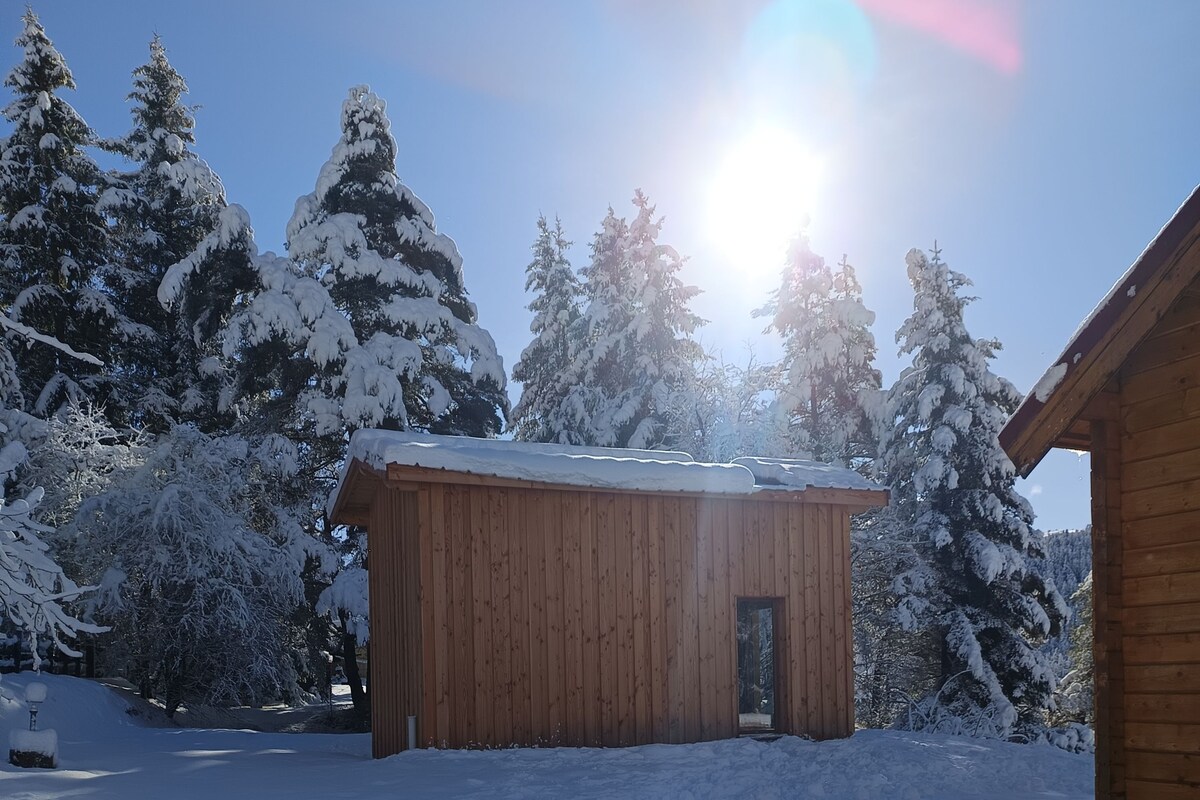 A wooden cabin with a snow-covered roof, surrounded by snow-laden trees, under a clear sky.