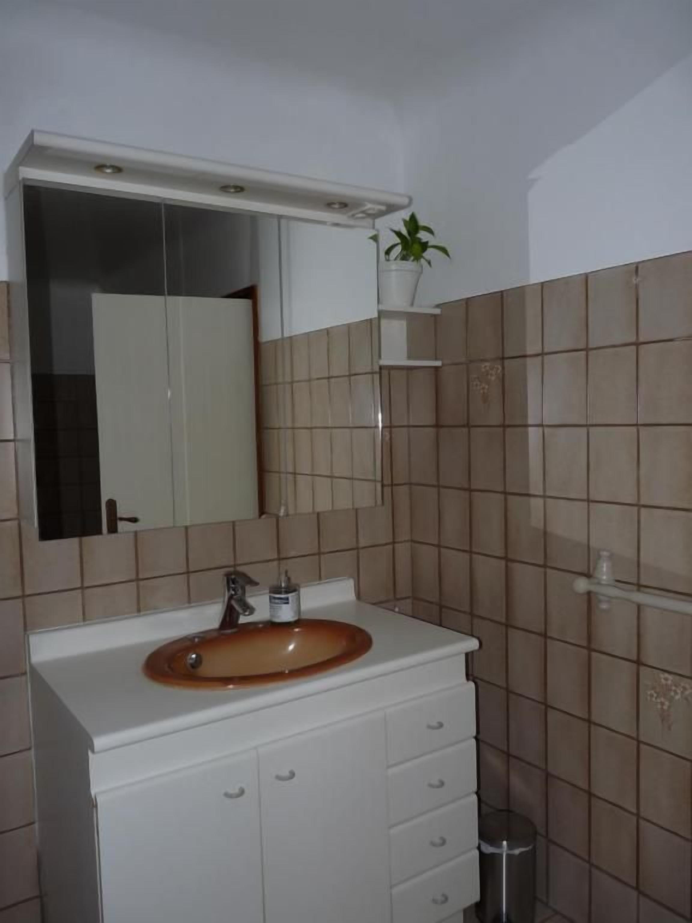 Un bany amb un moble blanc, un lavabo rodó, un mirall i una planta en test amb una estant.