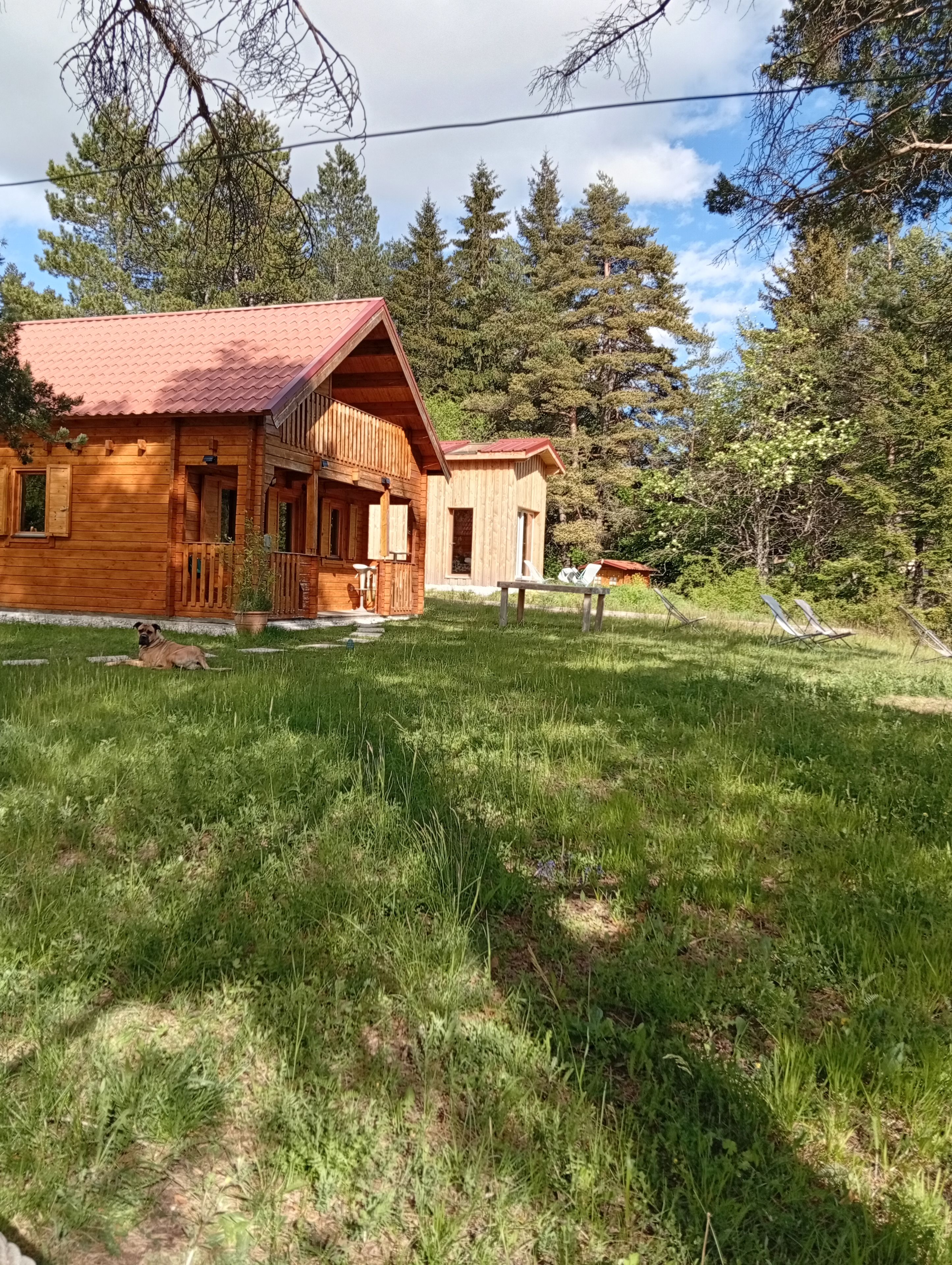 A wooden cabin with a red roof, surrounded by a grassy area and trees.