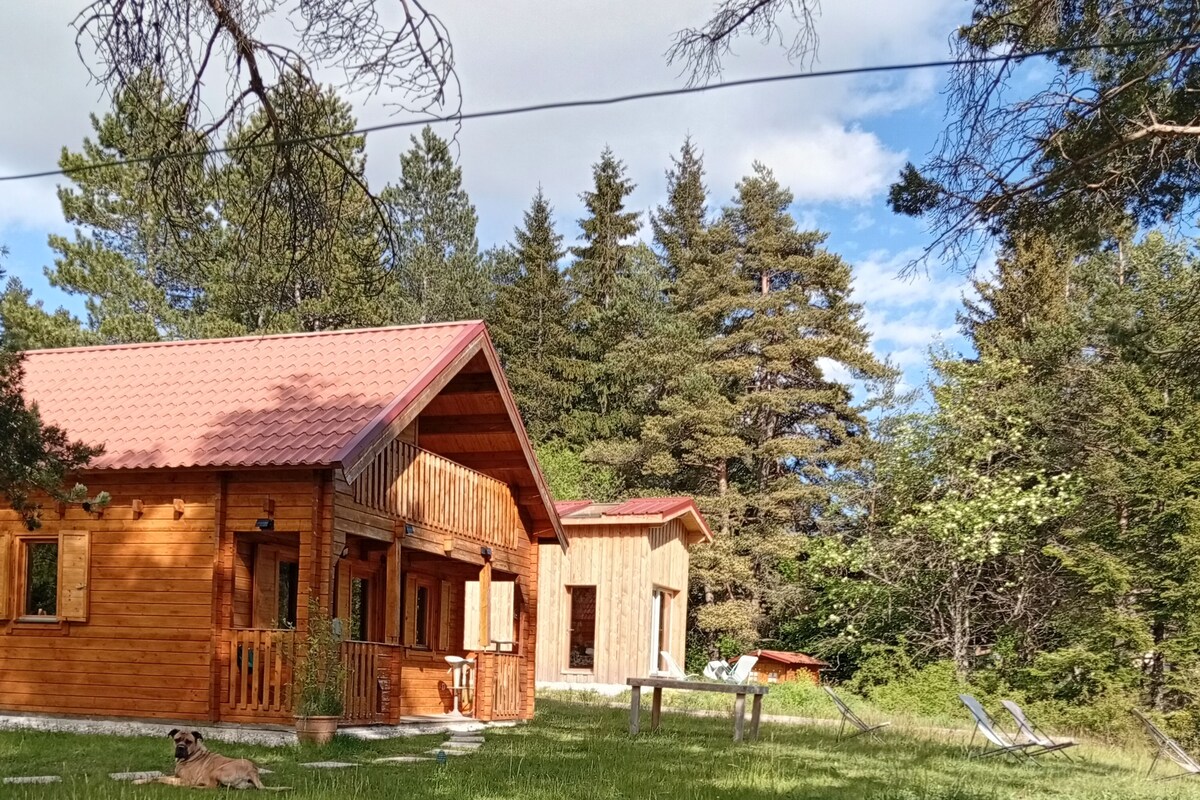 A wooden cabin with a red roof, surrounded by a grassy area and trees.