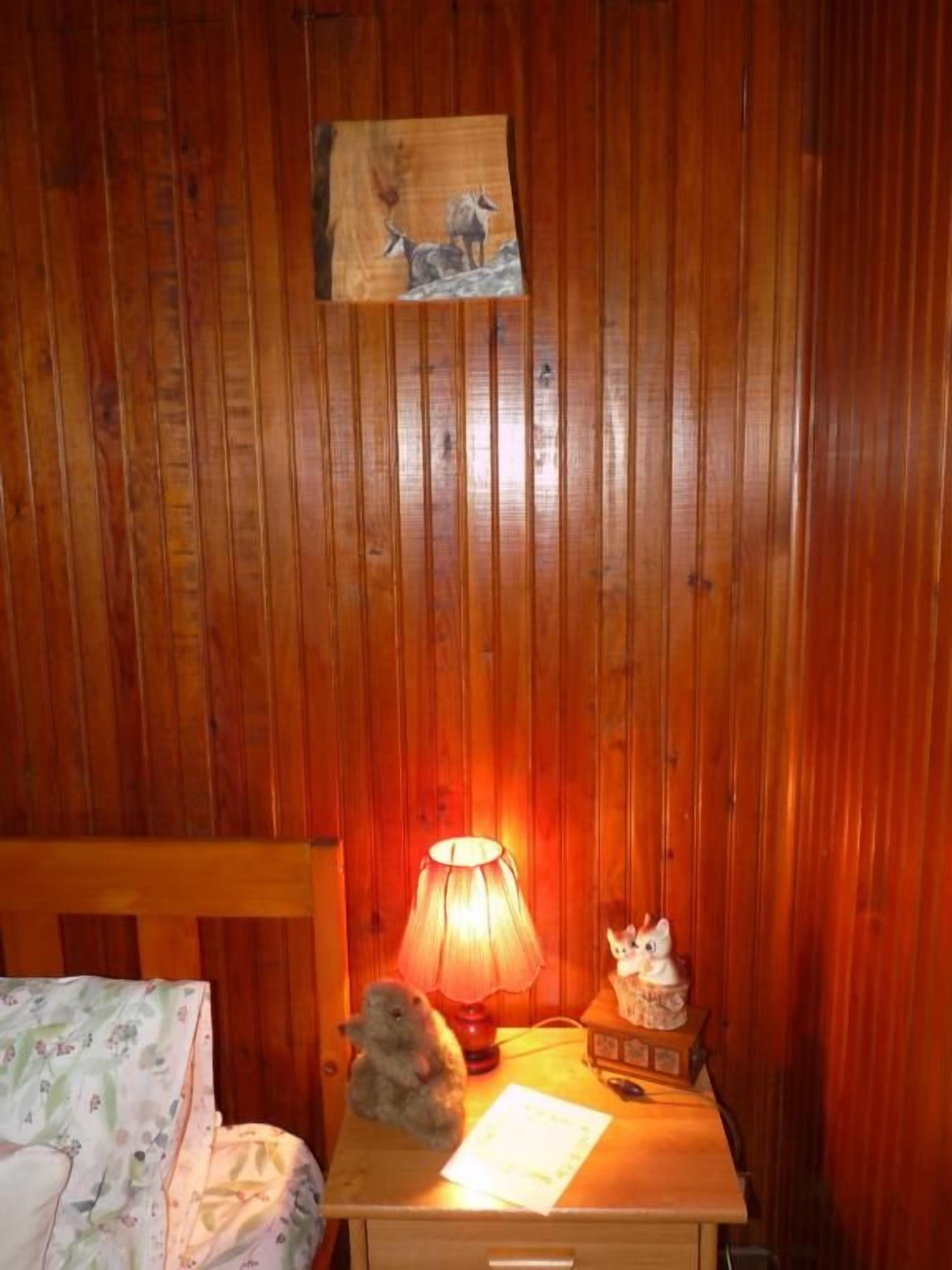 A wooden-paneled room with a bed, a nightstand with a lamp, a small stuffed animal, and a framed picture on the wall.