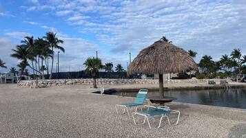 A beachside pool area with lounge chairs, a thatched umbrella, and palm trees.