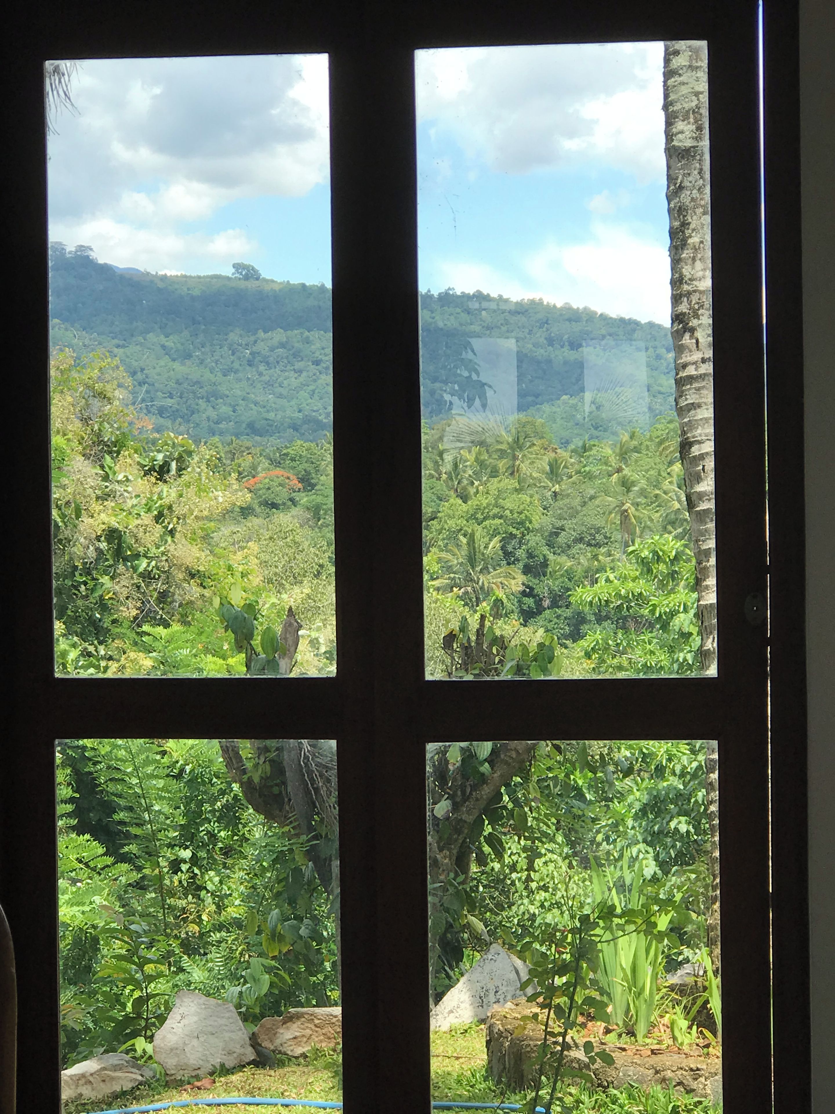 A window view of a lush green landscape with dense vegetation and a distant hill.