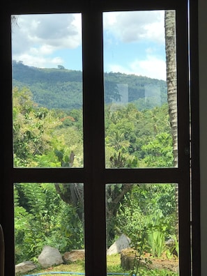 A window view of a lush green landscape with dense vegetation and a distant hill.