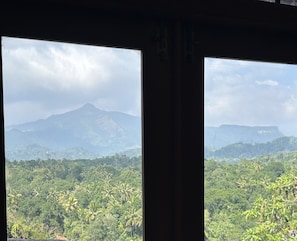 Vista pela janela com montanha ao fundo e vegetação densa em primeiro plano.