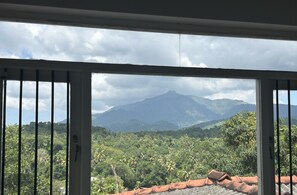 A view through a window with metal bars, featuring a mountain range and dense greenery.