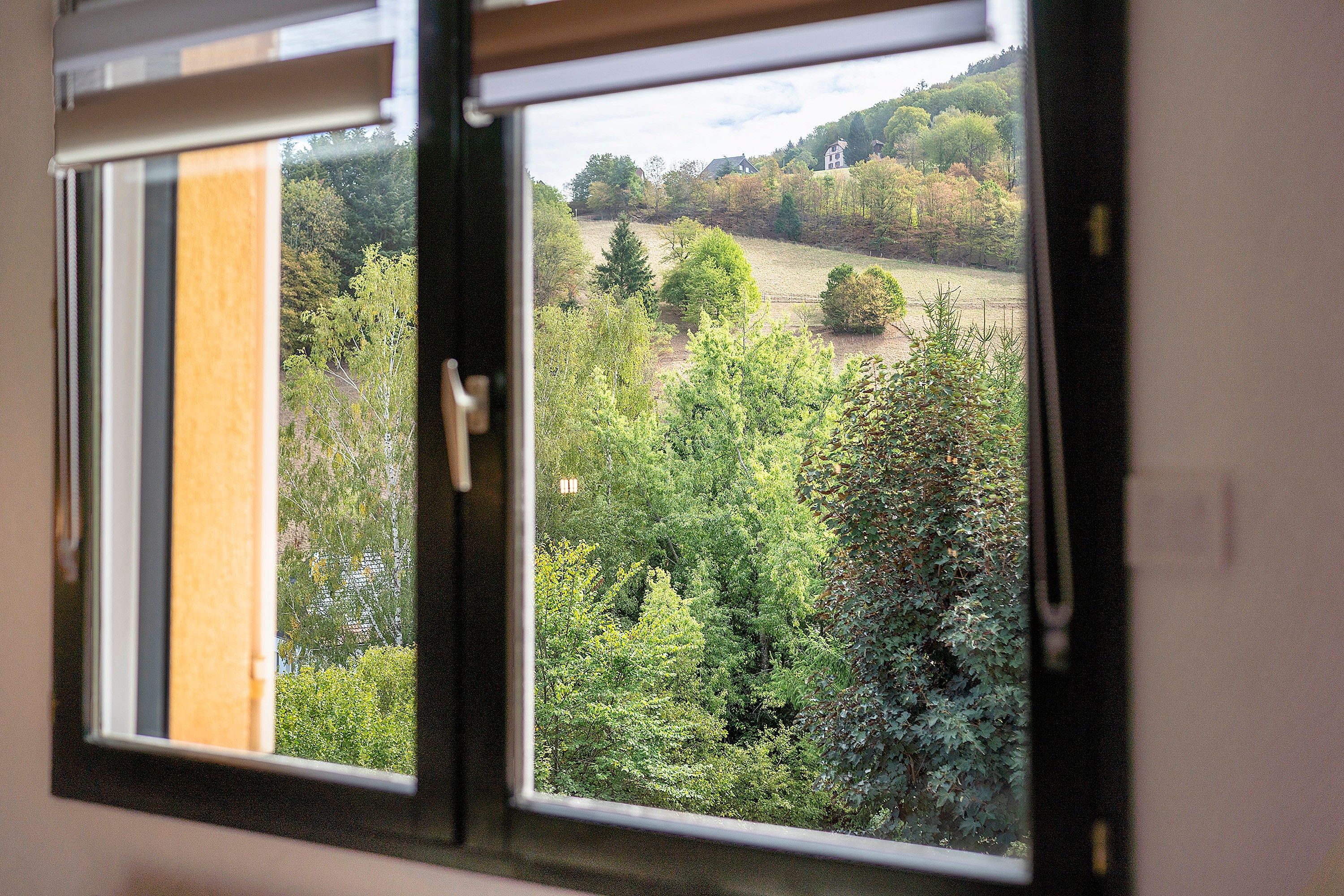 Une fenêtre donnant sur un paysage boisé.