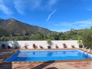 Una piscina rectangular con borde de azulejos, rodeada de baldosas de terracota, plantas en macetas y una pared blanca.