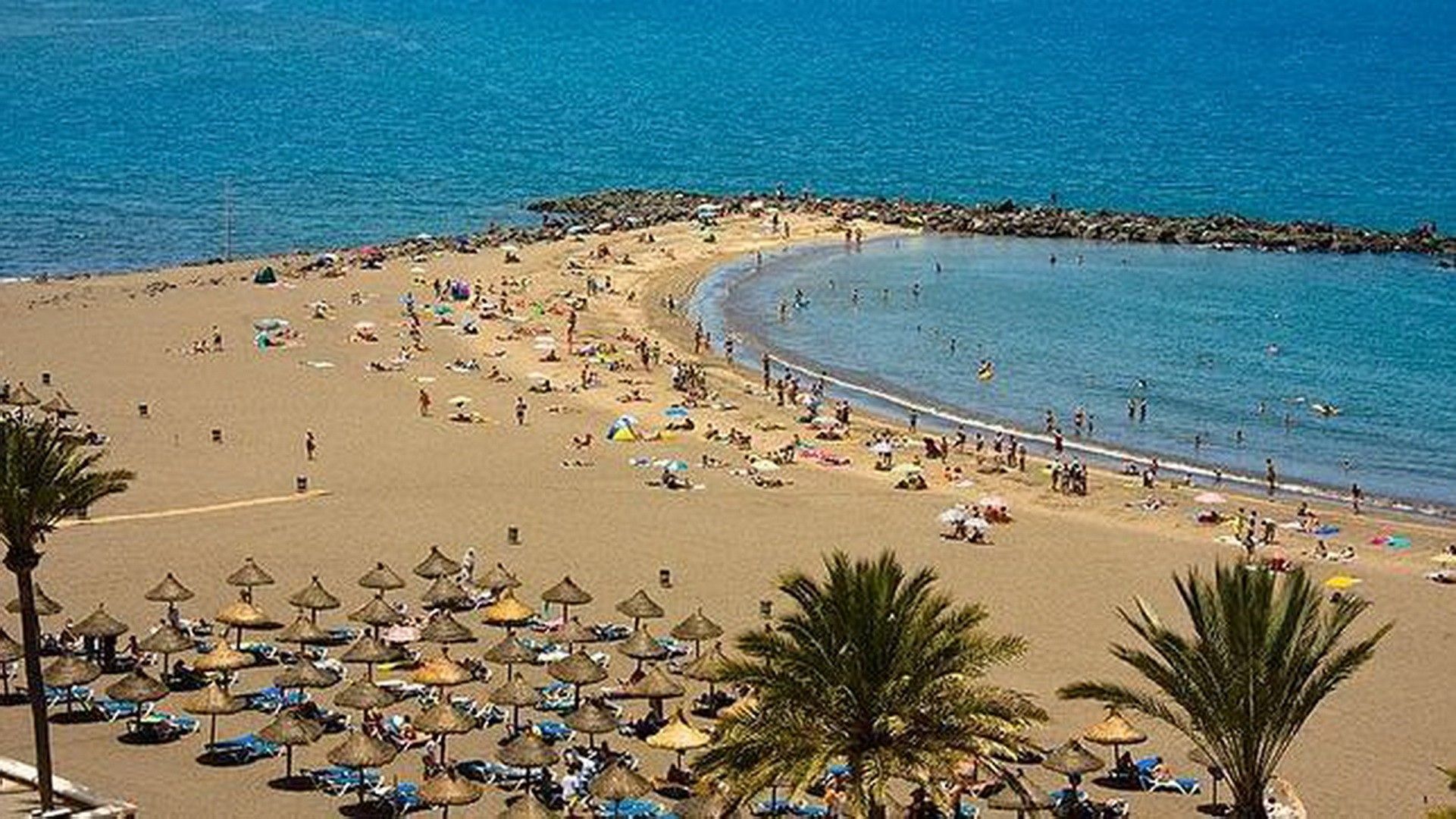 Una playa con sombrillas y gente.