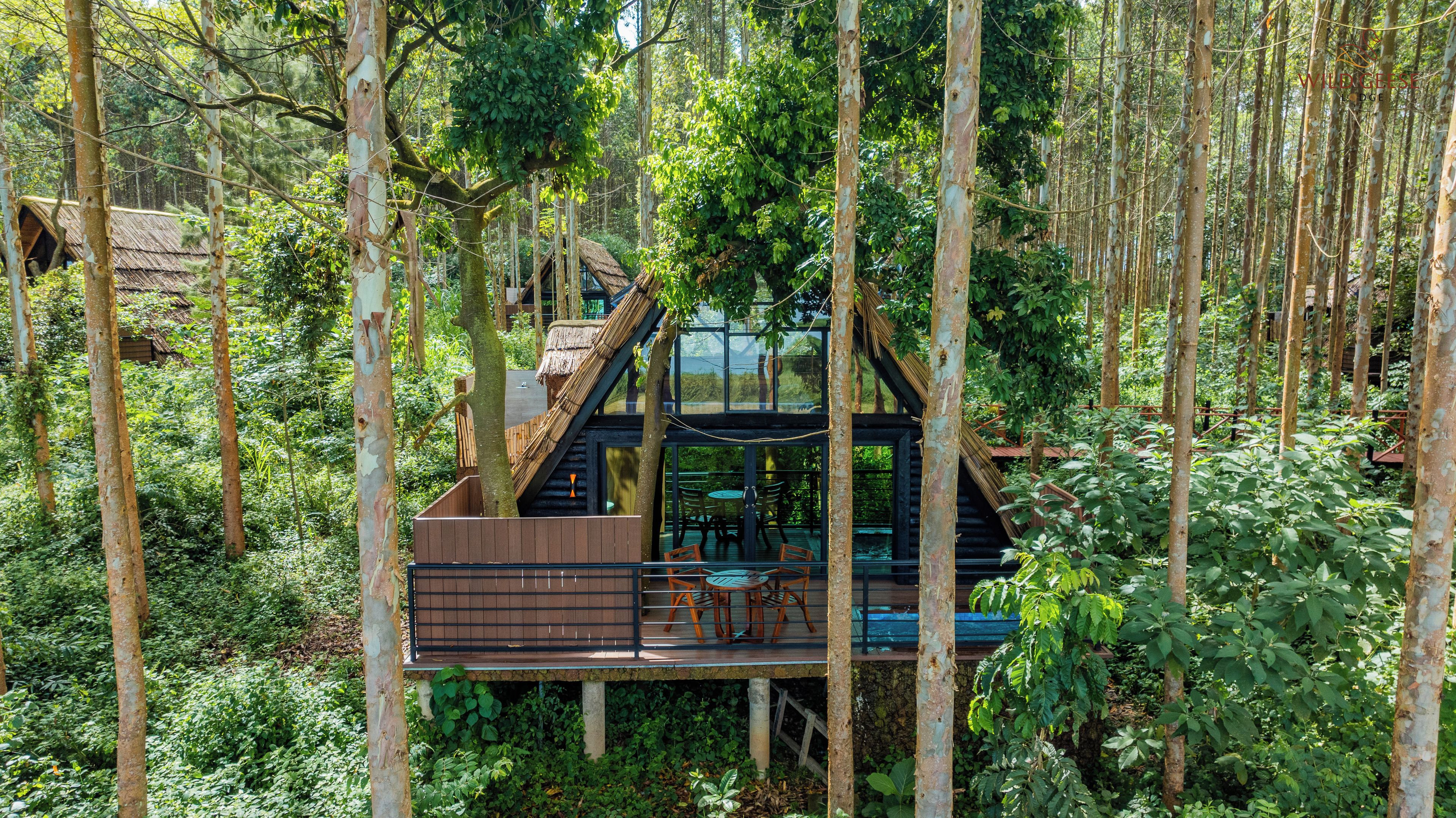Una casa en el árbol con cerramiento de cristal, terraza de madera y zona de estar al aire libre rodeada de bosque.