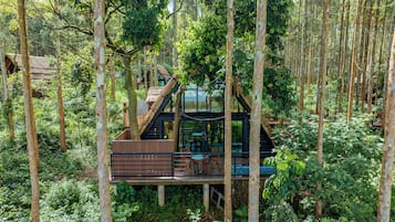 Una casa en el árbol con cerramiento de cristal, terraza de madera y zona de estar al aire libre rodeada de bosque.