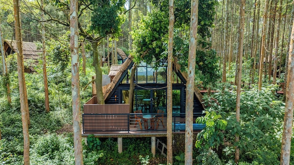 Una casa en el árbol con cerramiento de cristal, terraza de madera y zona de estar al aire libre rodeada de bosque.