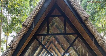 Wild Geese Lodge