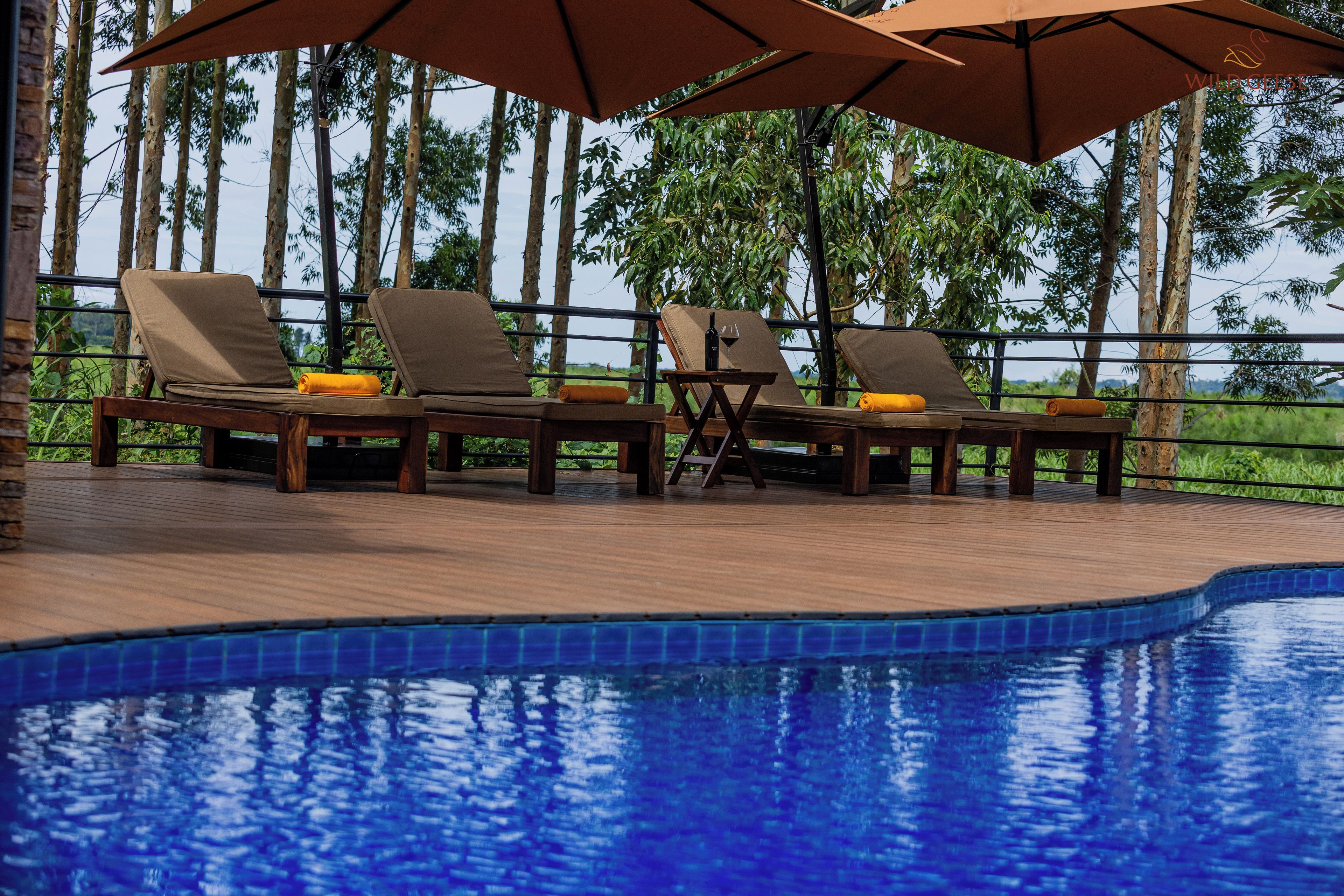 A poolside area with lounge chairs and umbrellas, surrounded by trees.