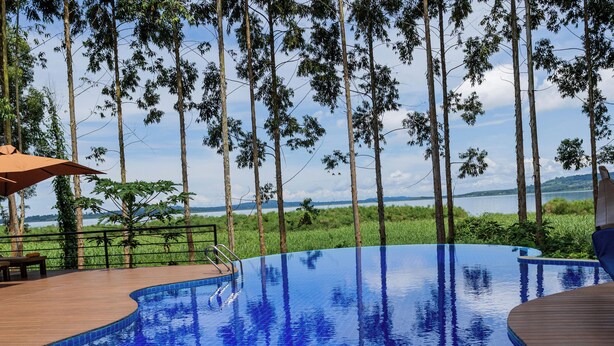 A swimming pool with a wooden deck, surrounded by tall trees and a view of a lake.