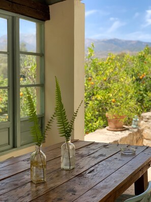 A wooden table with two glass vases containing green plants, positioned near a window with a view of a garden and mountains.