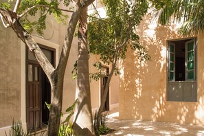 A courtyard with a tree, a door, and a window with curtains. - Hotel Casa Nuuma (Merida)