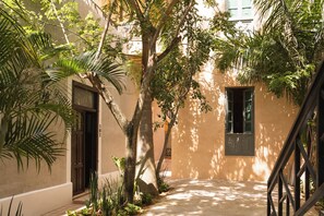 Un patio con una palmera, una ventana y una puerta.