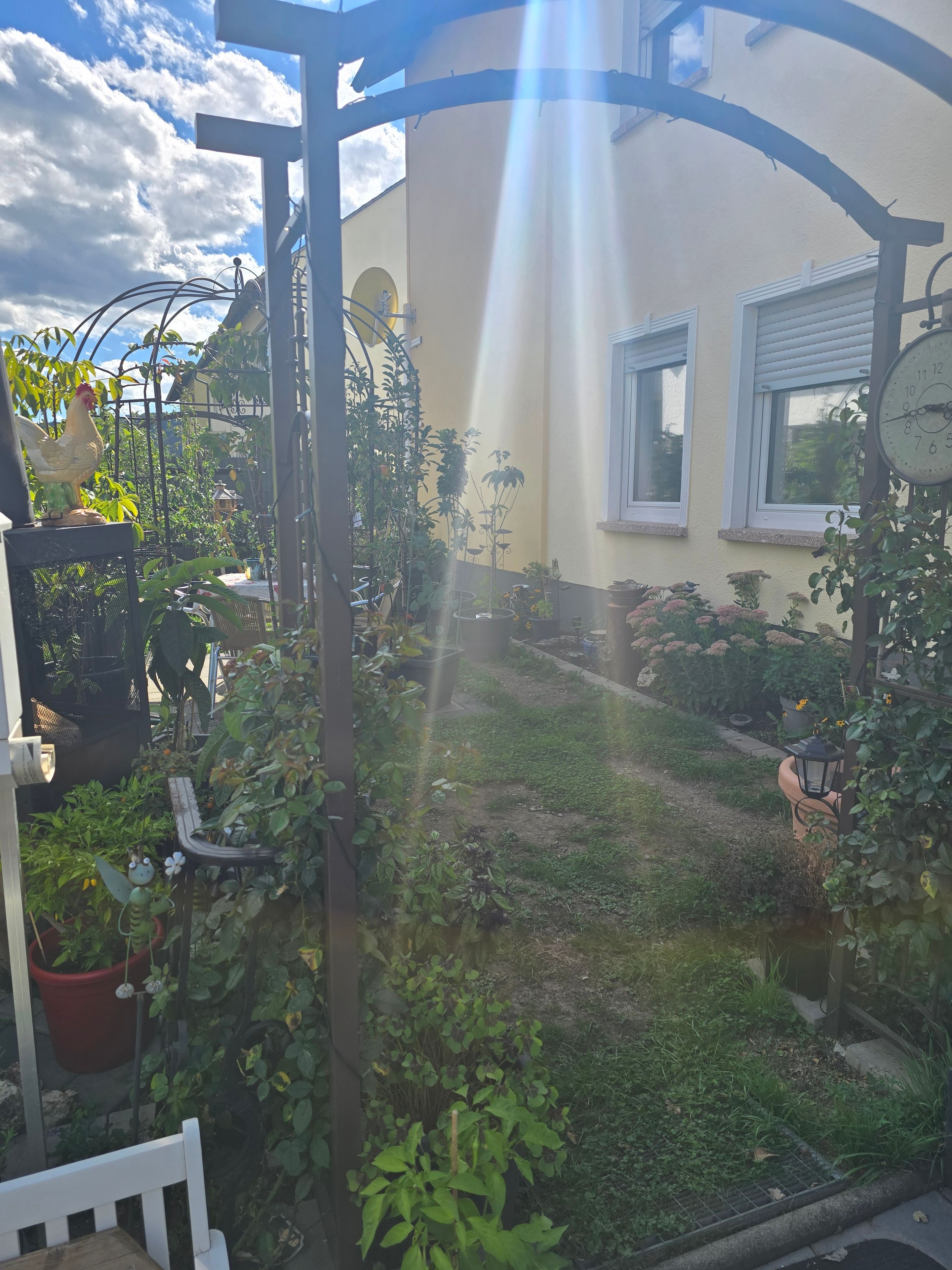 A garden with a pergola, potted plants, and a rooster statue.