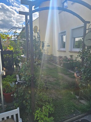 A garden with a pergola, potted plants, and a rooster statue.