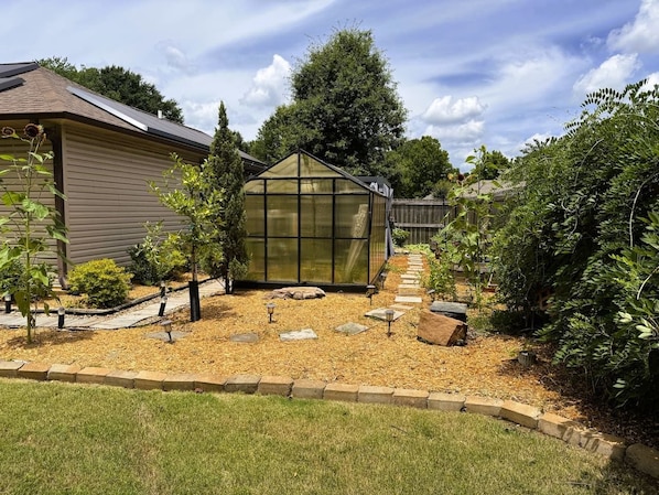 A greenhouse with a clear roof, surrounded by a garden with mulch, stepping stones, and small trees.
