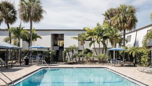 A swimming pool with lounge chairs and umbrellas, surrounded by palm trees and a building with a staircase. - Walk to Bayshore | Pool, Gym & Parking (Tampa)