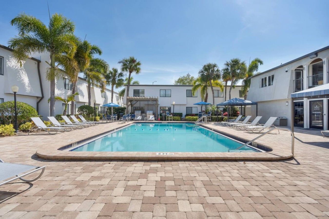 A rectangular pool with a tiled deck, surrounded by lounge chairs and umbrellas, with palm trees and a building in the background.
