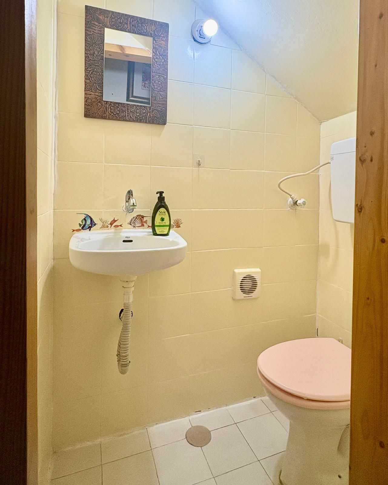 A small bathroom with a white sink, a mirror, a toilet, and a shower.