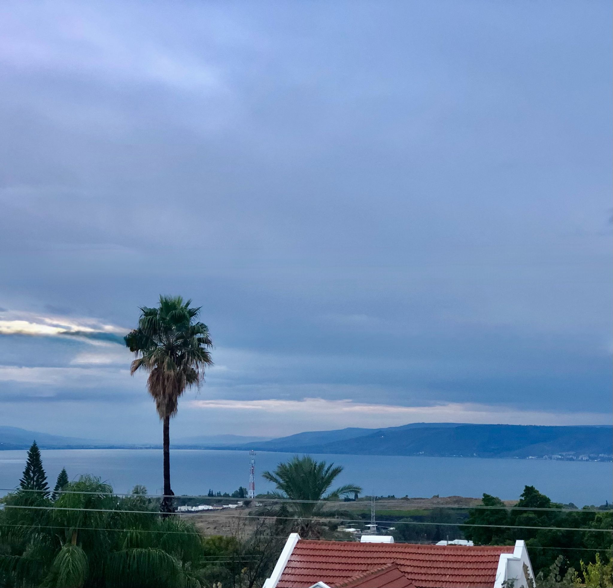 Un paysage côtier avec un palmier bien visible, une étendue d’eau et des montagnes à l’horizon.