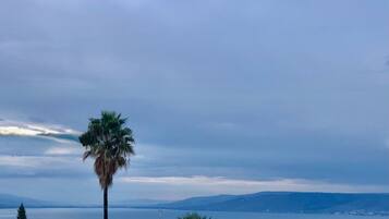 Un paysage côtier avec un palmier bien visible, une étendue d’eau et des montagnes à l’horizon.