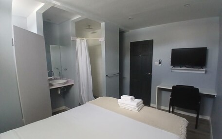 A hotel room with a bed, a desk, a TV, a bathroom with a shower, and a sink.