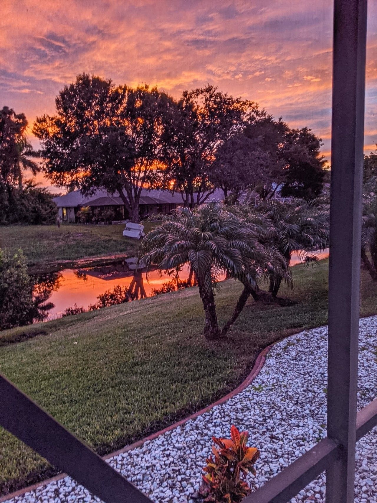 A sunset view with a pond, trees, and a building in the background.