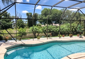 A swimming pool with a clear blue water, surrounded by a metal fence and lush greenery.