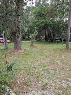 A grassy area with trees and a red car parked nearby. - Enjoyable Queen bdrm space charming Crystal River Close to everything  SNOWBIRDS (Crystal River)