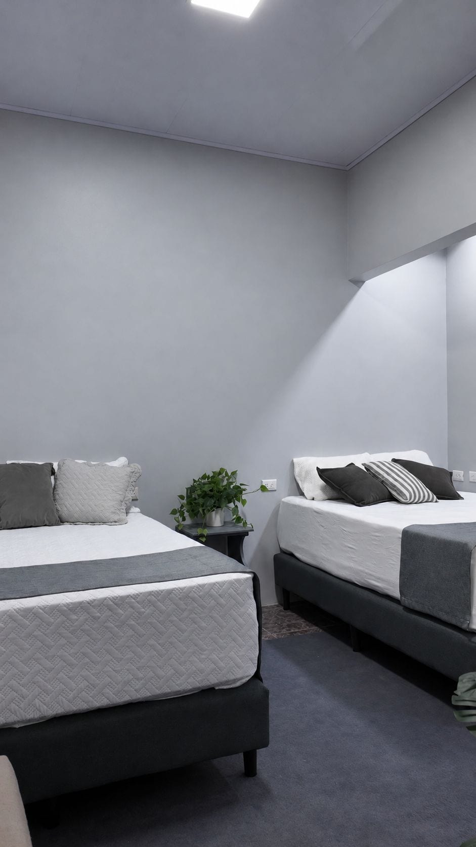 A modern bedroom with two beds, a bedside table with a plant, and a large window.