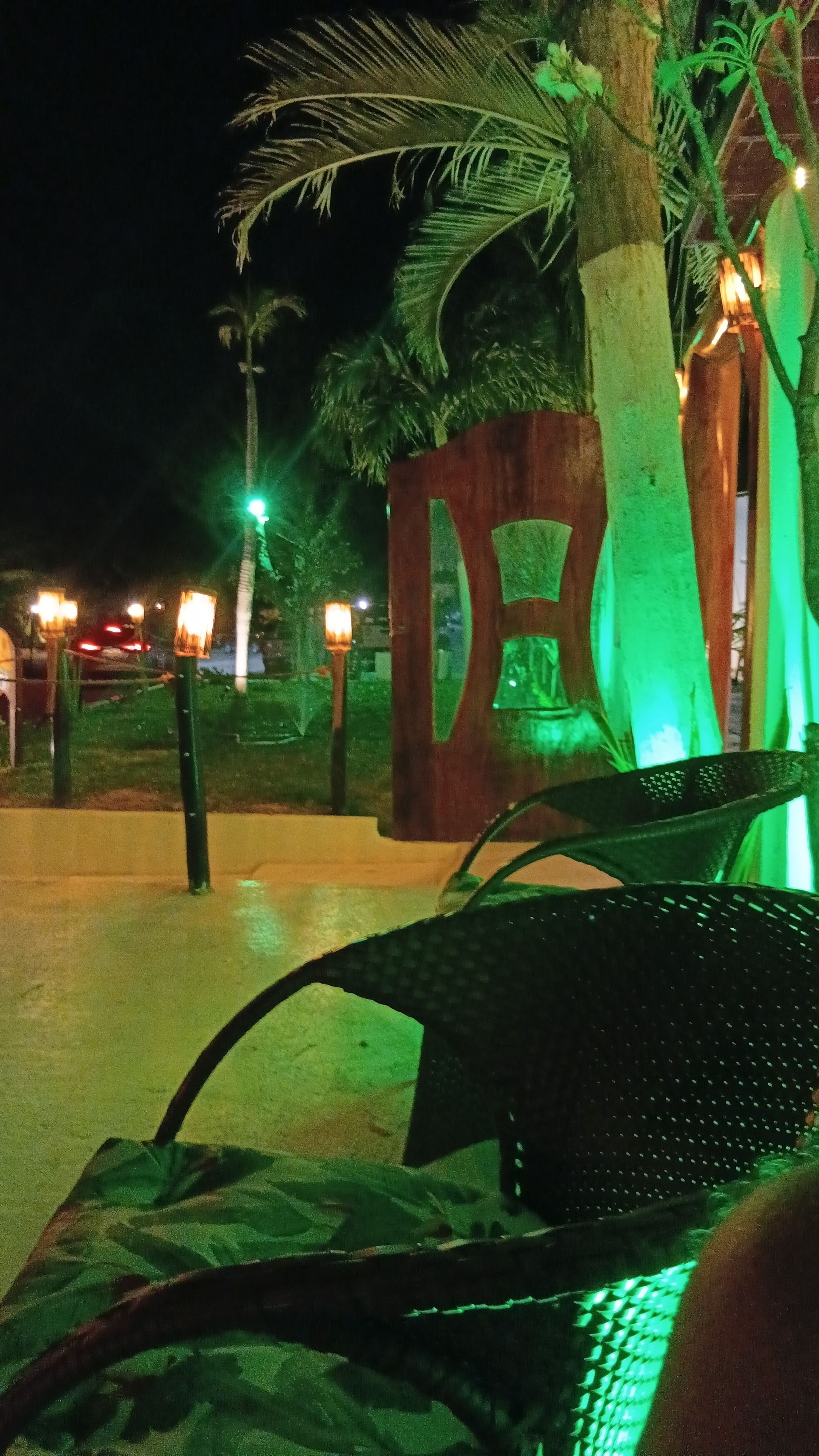 A nighttime outdoor seating area with a palm tree, a chair, and a wooden structure with a green light.