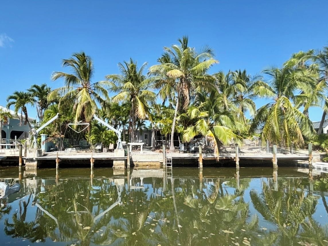 A waterfront property with a dock, palm trees, and a clear sky.