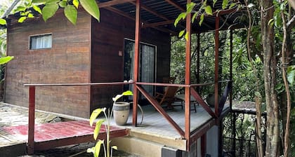 Saboga Lodge | Deluxe Cabin