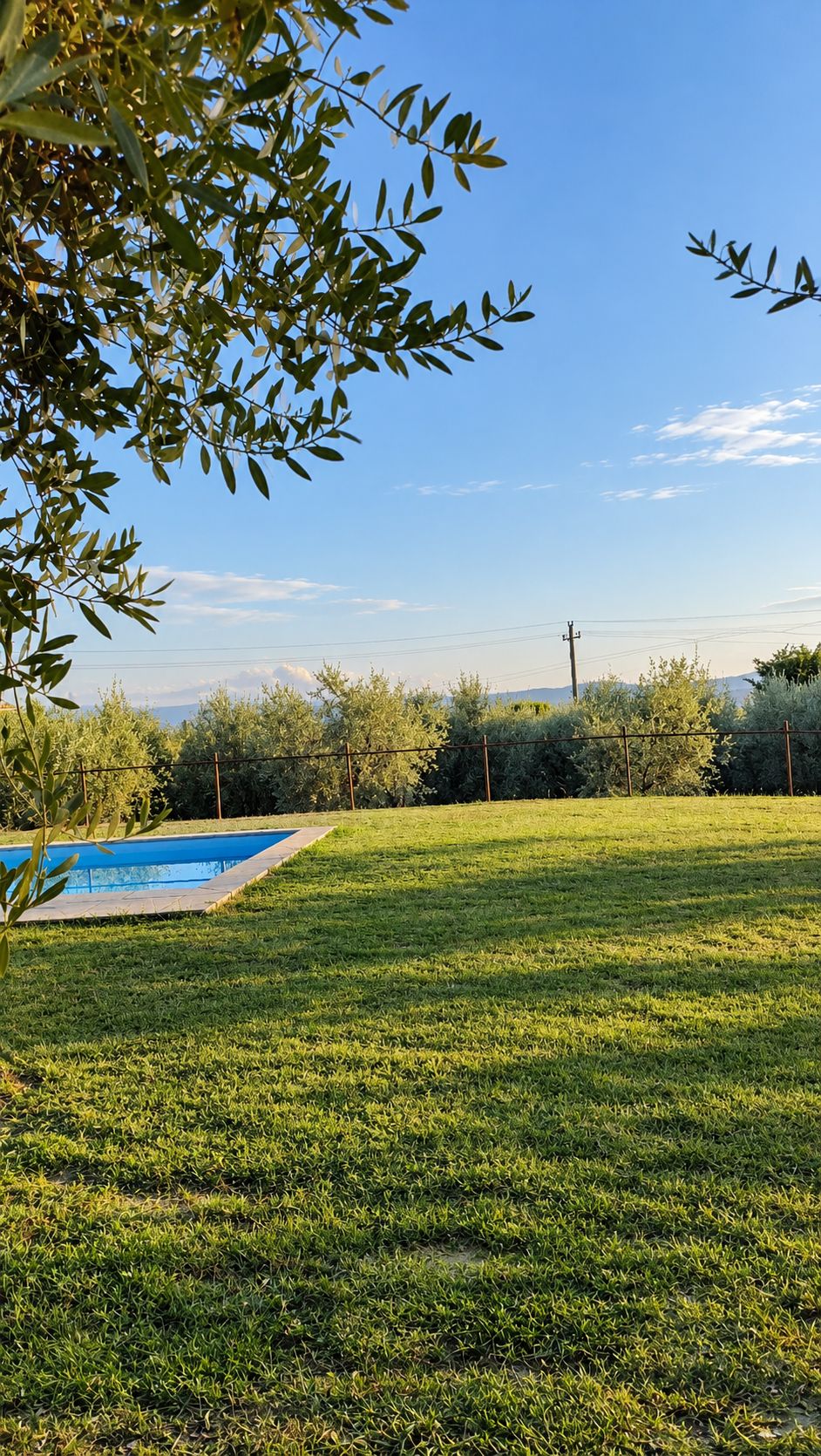 Un cortile sul retro con prato, piscina e cielo sereno.