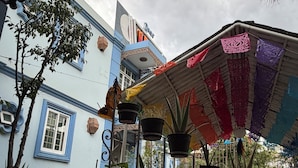 A courtyard with potted plants, a blue building, and a decorative awning. - Luz de Luna (Oaxaca)