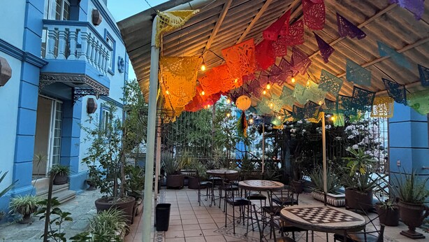 An outdoor patio with tables and chairs, surrounded by potted plants and a blue building. - Luz de Luna (Oaxaca)
