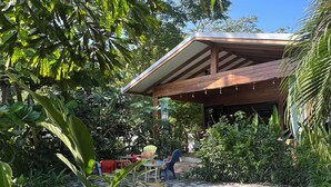 Un área de piscina con zona de estar cubierta y abundante vegetación.