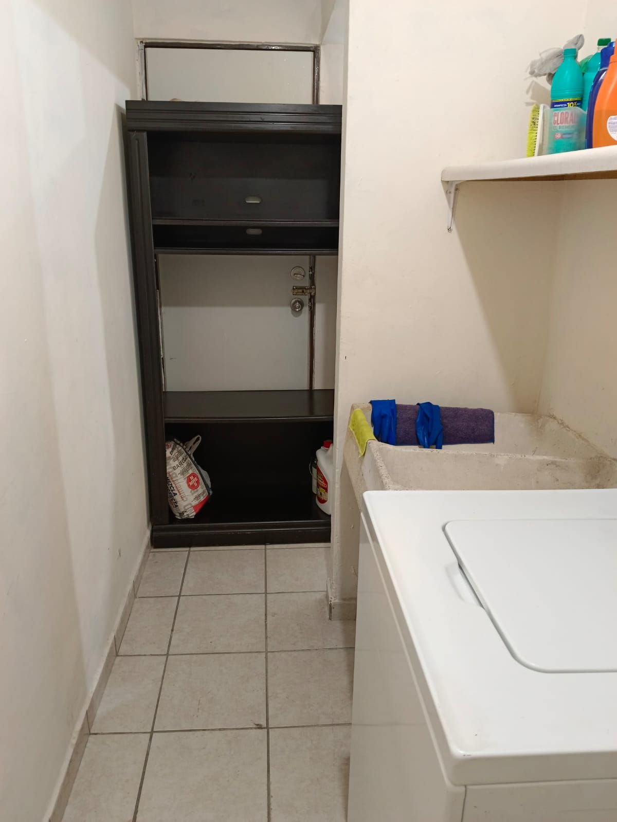 Un espace buanderie comprenant un lave-linge, une étagère en métal et des produits de nettoyage.