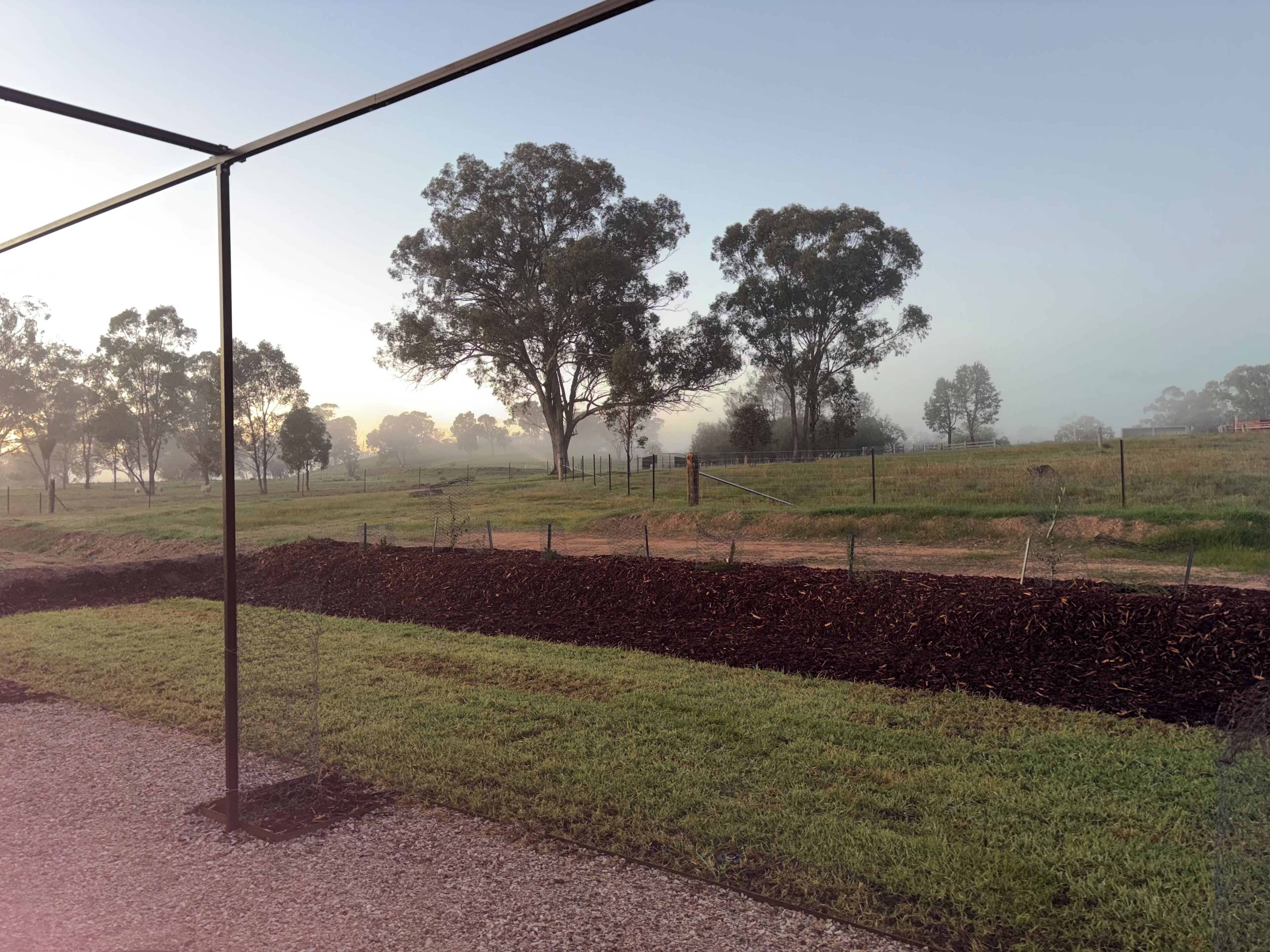 A rural landscape with a clear sky, a fenced field, and trees.