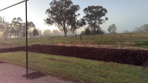 A rural landscape with a clear sky, a fenced field, and trees.