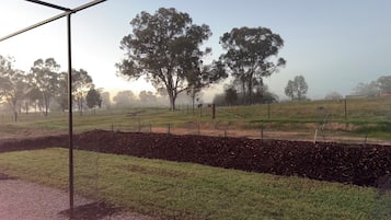 A rural landscape with a clear sky, a fenced field, and trees.