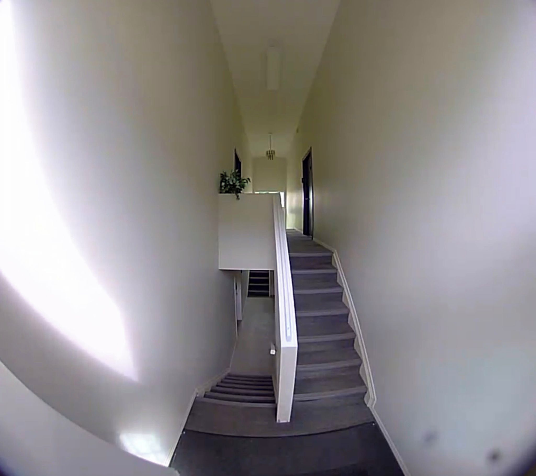 Eine Treppe mit Handlauf, die zu einer Zwischenebene mit einer Pflanze führt.